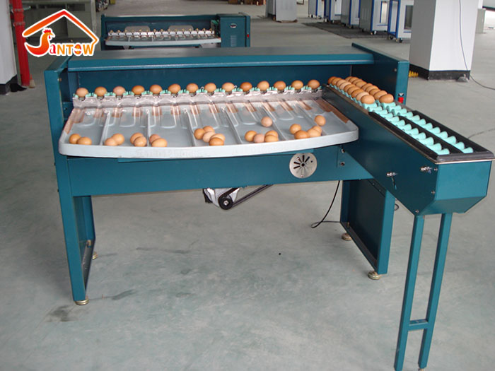 egg grader machine 4.jpg