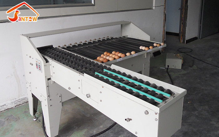 egg grader machine 3.jpg