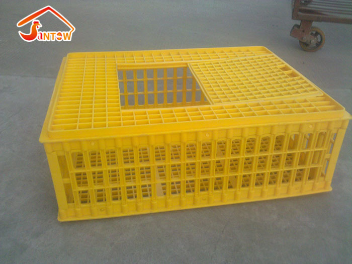 plastic chiken transportation cage 1.jpg