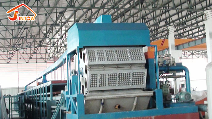 egg tray making machine 5.jpg